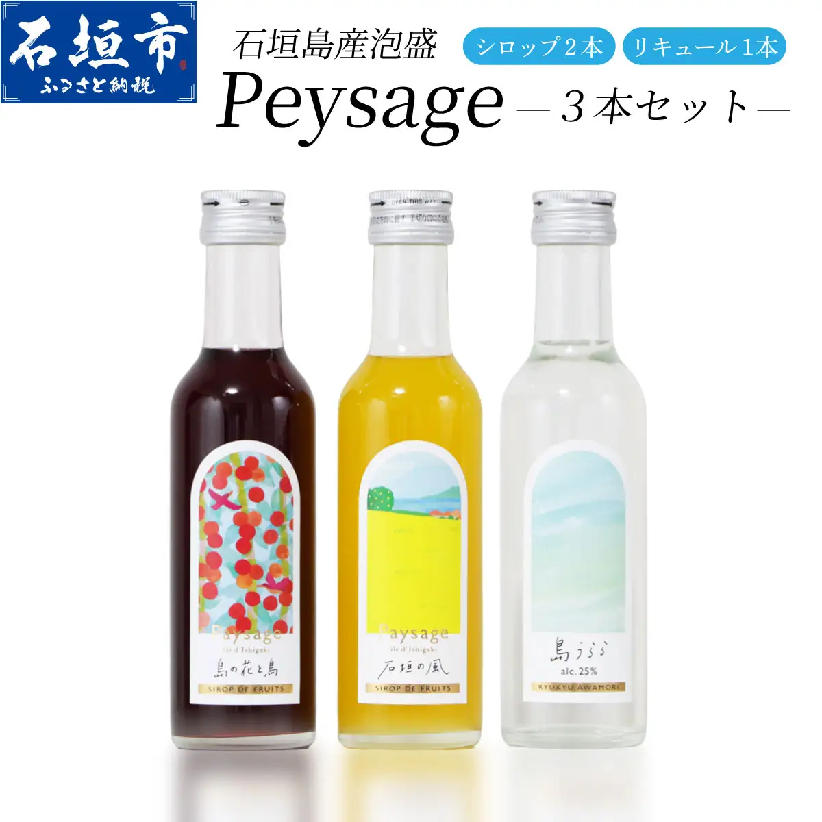 Paysage 3本セット