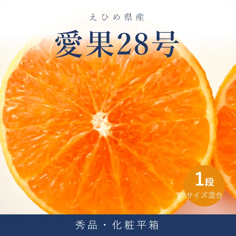愛果28号 ( 紅まどんな と同品種 ) 化粧平箱 1箱 【2026年11月下旬より順次発送】【VRS009】