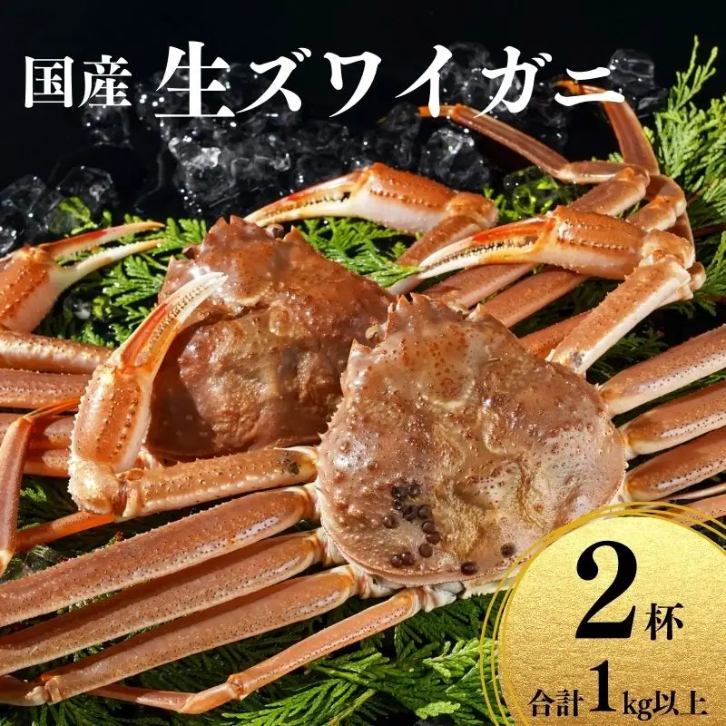 〈期間限定〉生 本ズワイガニ 500g以上×2杯 計1kg以上 姿 生きたまま発送 生蟹 糸魚川産 鮮度抜群！獲れたて直送 ずわいがに かに 蟹 ヒスイ水産 国産 日本海 新潟 新鮮 タグ付き 11月から漁開始 ギフトにも おススメ カニ ヒスイ蟹