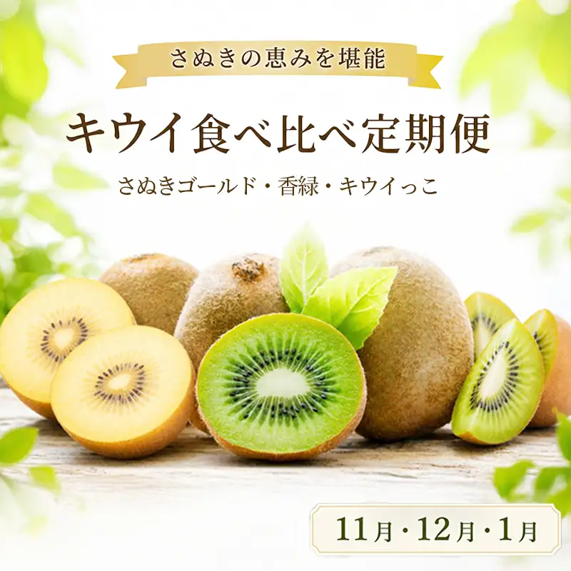 キウイ 定期便3回 ゴールド キウイ