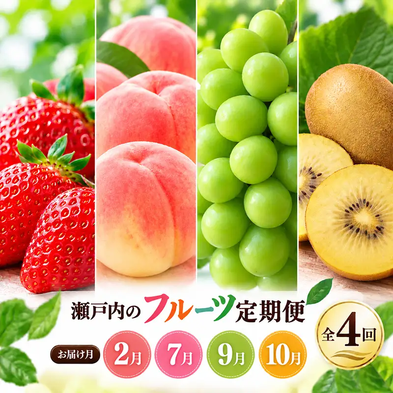 【4回】フルーツ定期便 旬のフルーツ