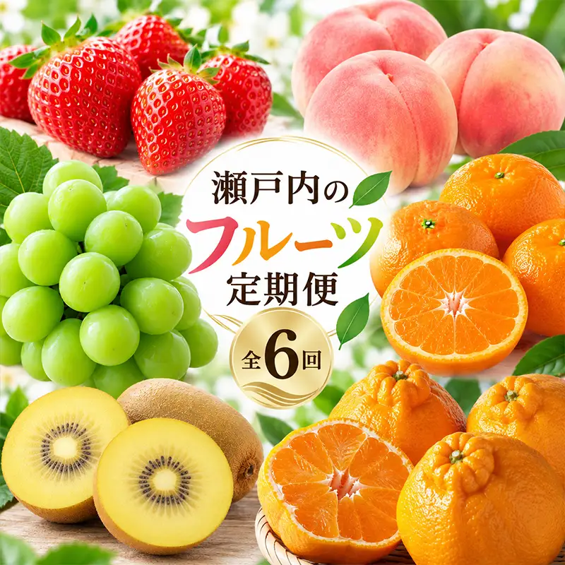 【6回】フルーツ定期便 旬のフルーツ