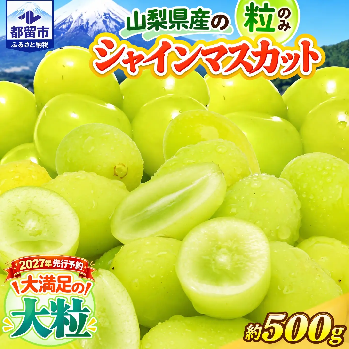 【2027年先行予約】山梨県産 シャインマスカット（粒）約500g