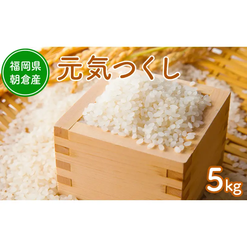 令和8年度産米 元気つくし 5kg  福岡県朝倉産 白米 精米 お米