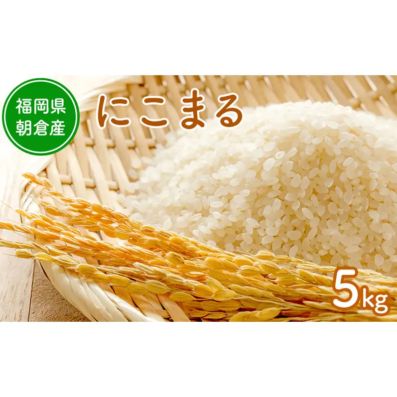 令和8年度産米 にこまる 5kg 福岡県朝倉産 白米 精米 お米