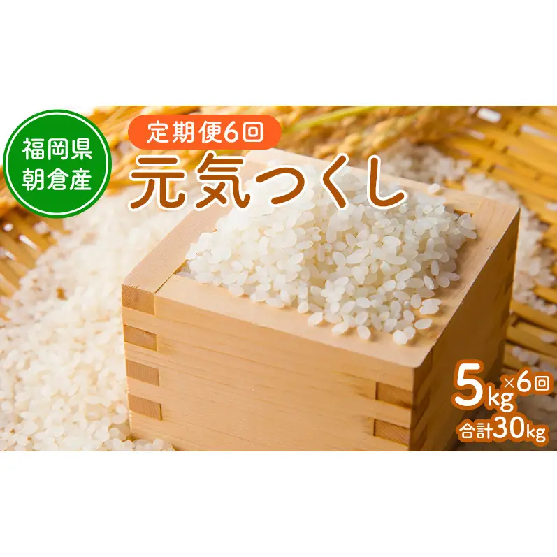 令和8年度産米 定期便 6ヶ月 元気つくし 5kg  福岡県朝倉産 白米 精米 お米
