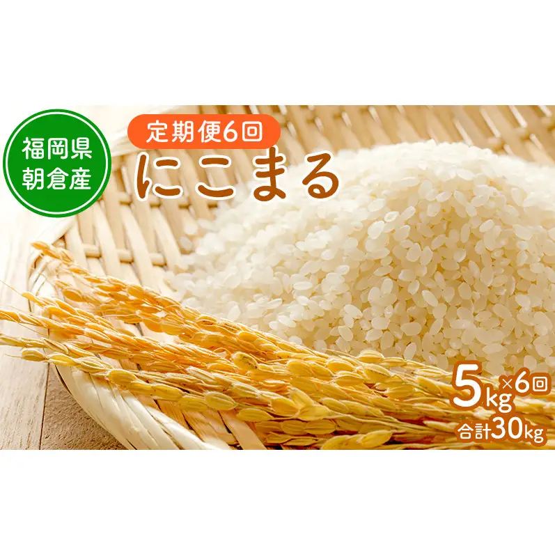 令和8年度産米 定期便 6ヶ月 にこまる 5kg 福岡県朝倉産 白米 精米 お米