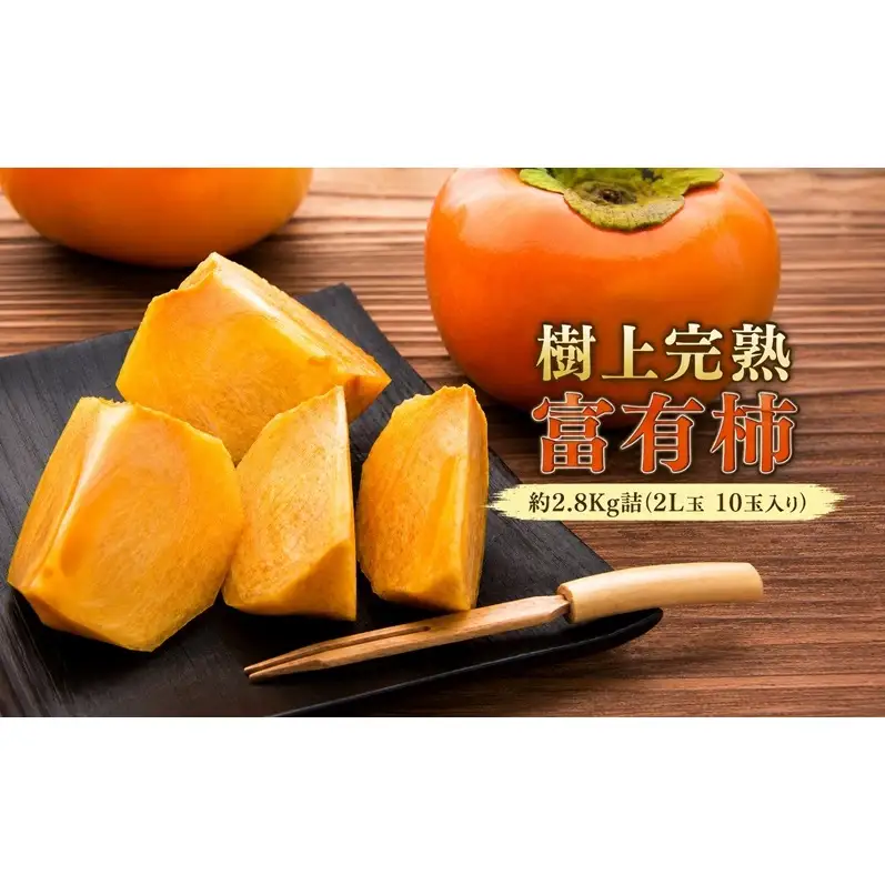 【福岡県朝倉産】もぎたて樹上完熟富有柿 木の上でじっくり熟した、みずみずしく濃厚な甘み ［一番美味しい時期にお届け］正品 化粧箱 2L玉 10玉入り 約2.8Kg詰