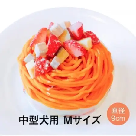 わんちゃん用かぼちゃモンブランケーキ【Mサイズ】【配送不可地域：離島】【1674247】