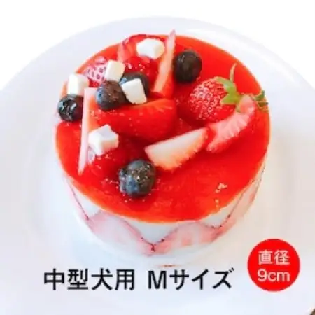 わんちゃん用フレジエケーキ【Mサイズ】【配送不可地域：離島】【1674249】