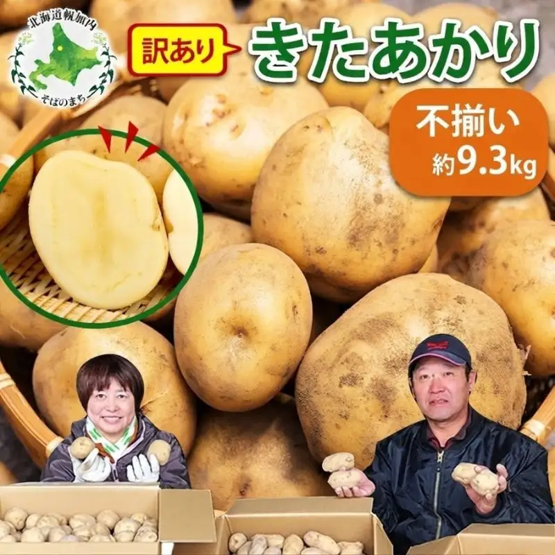 北海道産 訳あり じゃがいも きたあかり 約9.3kg 不揃い サイズ不選別 ジャガイモ 馬鈴薯 ポテト キタアカリ 芋 旬 冬 農作物 訳アリ 規格外 家庭用 北海道 お取り寄せ 産地直送 笠井ファーム 送料無料 幌加内