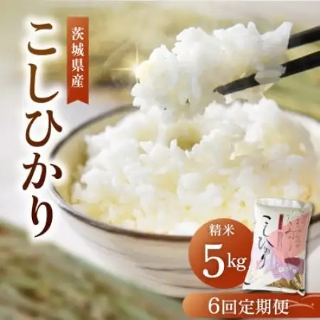 【毎月定期便】茨城県産 コシヒカリ精米 5kg | こしひかり 茨城県かすみがうら市全6回【4094321】