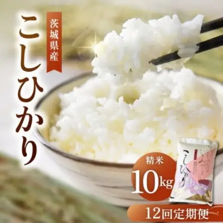 【毎月定期便】コシヒカリ 精米 10kg こしひかり全12回【4094326】