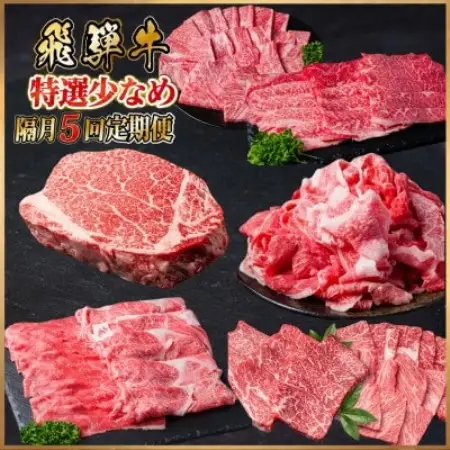 【2ヵ月毎定期便】飛騨牛 特選少なめ定期便 計2.2kg全5回【配送不可地域：離島】【4093882】