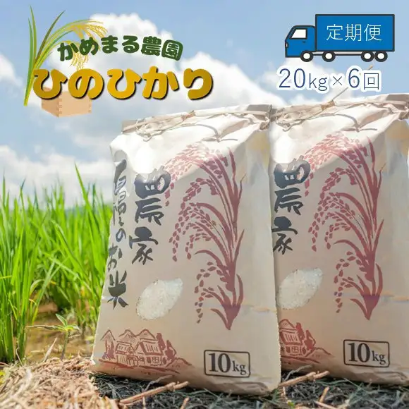 【定期便6回】かめまる農園「ひのひかり」20kg×6回 