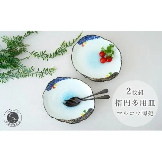 有田焼  楕円多用皿（舞） 2枚組【マルコウ陶苑】食器 器 うつわ セット 食器セット 和食器 プレゼント 贈り物 ギフト dg007