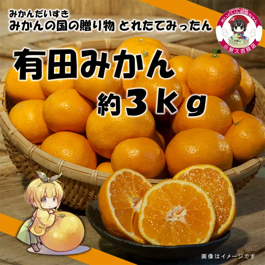 みかんの国の贈り物有田みかん 約3kg_M6049