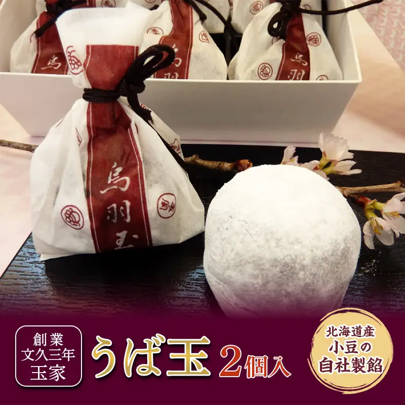 創業文久三年 玉家 代表銘菓 うば玉 2個入 和菓子 お茶菓子 お茶請け 菓子 食品 福島県 白河市  F25R-170