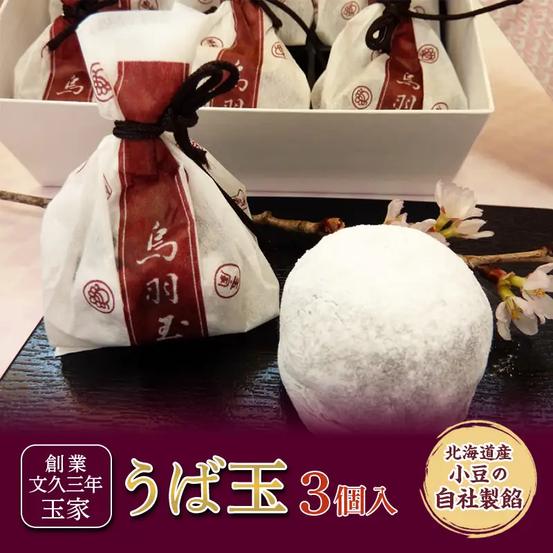 創業文久三年 玉家 代表銘菓 うば玉 3個入 和菓子 お茶菓子 お茶請け 菓子 食品 福島県 白河市  F25R-171