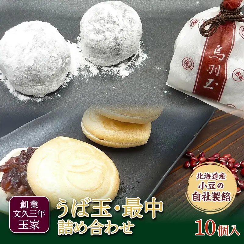 創業文久三年 玉家 うば玉・最中 詰め合わせ 和菓子 お茶菓子 お茶請け 菓子 食品 福島県 白河市  F25R-180
