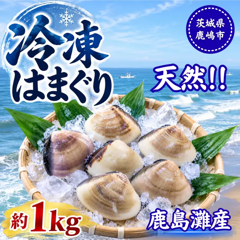 はまぐり 冷凍 約1kg