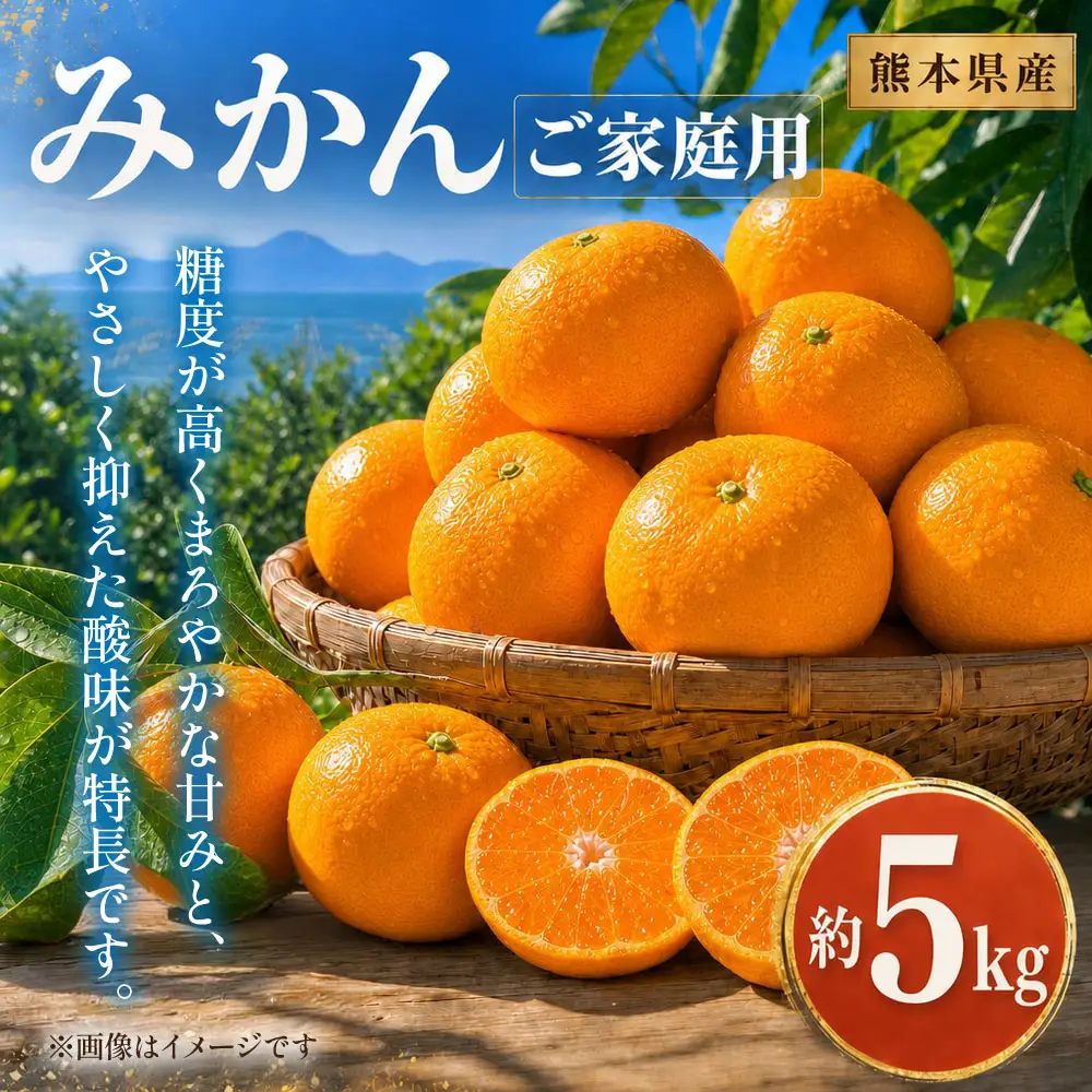 【 熊本県産 】 みかん 約5kg ご家庭用 温州みかん 果物 フルーツ 果実 果汁 果肉 国産 産地直送 【 2027年2月下旬まで発送予定 】