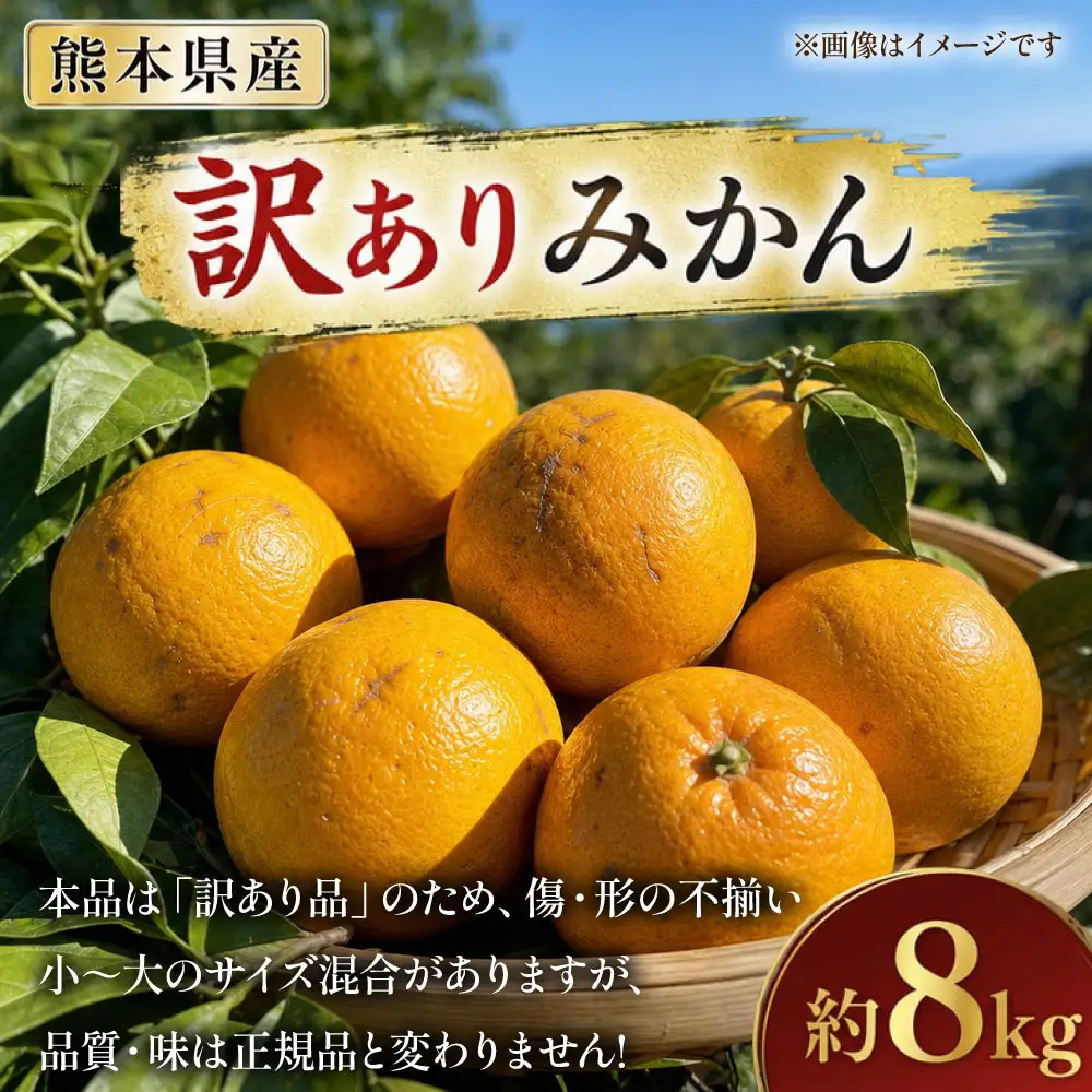【 熊本県産 】 訳ありみかん 約8kg 温州みかん 果物 フルーツ 果実 果汁 果肉 国産 産地直送 【 2027年2月下旬まで発送予定 】