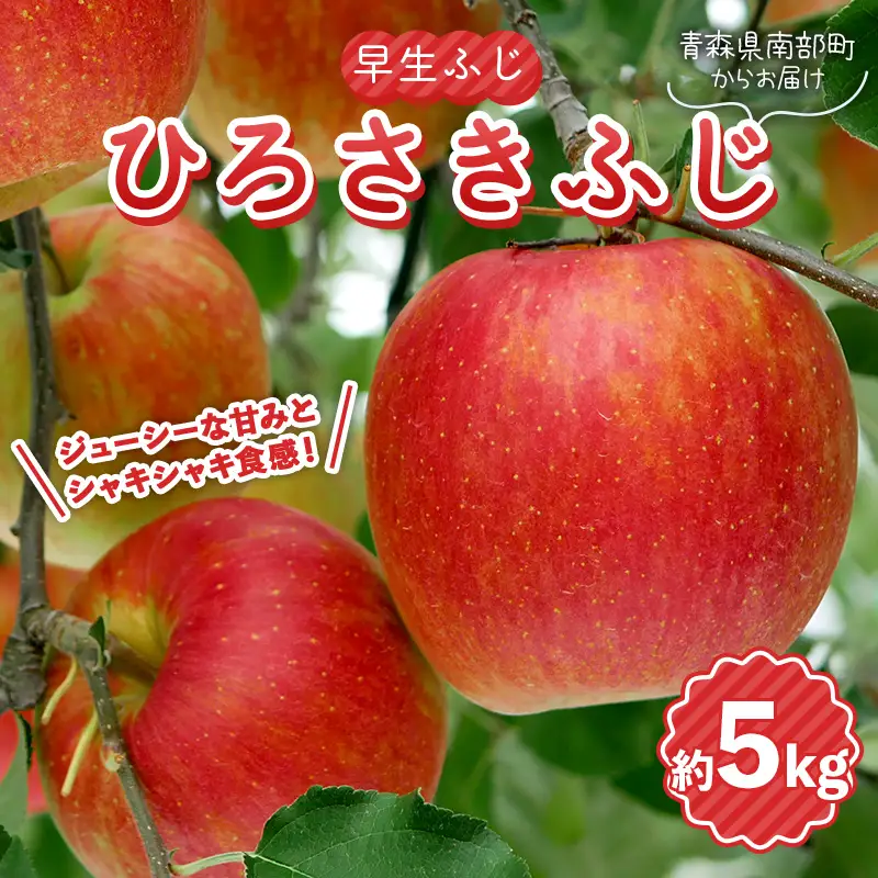 早生ふじ ひろさきふじ 約5kg 【盛果園】 青森県産 りんご リンゴ 林檎 アップル フルーツ 果物 旬 三戸 南部町 F21U-761
