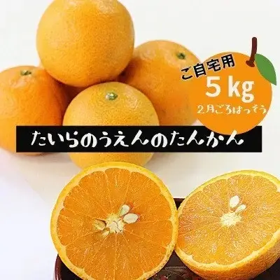 ＜2027年2月より順次発送＞ 平農園のたんかん ＜ご自宅用＞約5kg