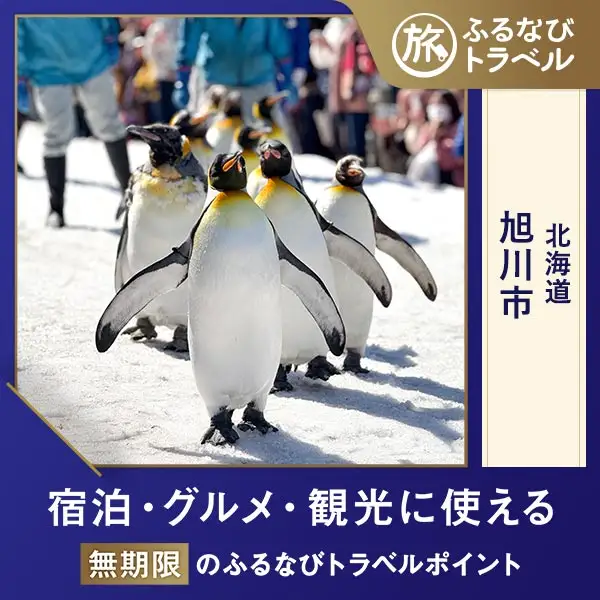 【北海道旅行・宿泊無期限】旅行ポイント旭川市ふるなびトラベルポイント