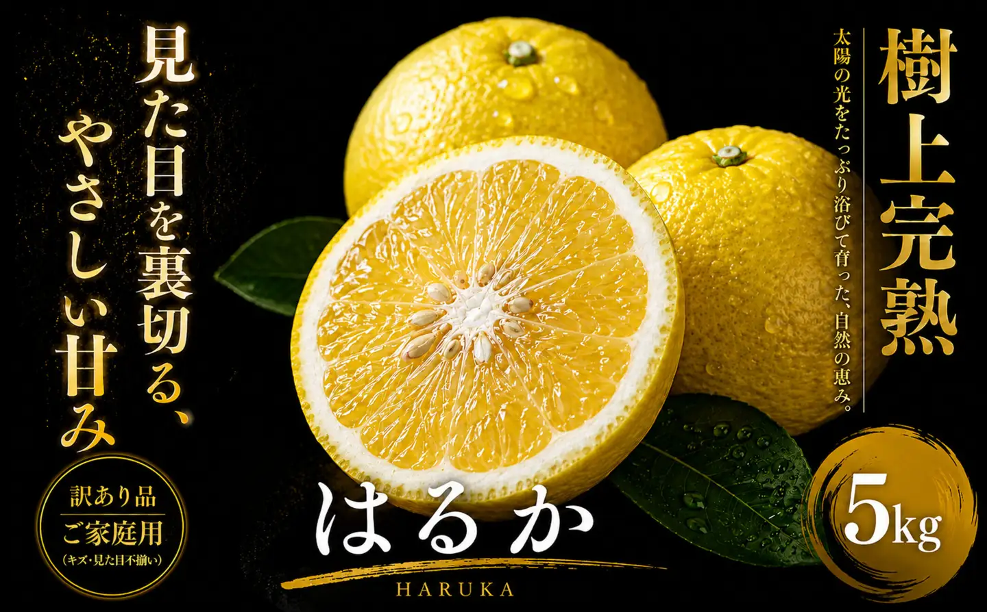 ＜上品な甘さ 愛媛県産はるか 合計約5kg＞『2027年2月上旬～3月中旬迄に順次出荷予定』訳あり まろやかな甘み ミカン 蜜柑 希少 ご家庭用 果汁 果物 くだもの フルーツ オレンジ 柑橘 人気柑橘 特産品 極尽道 愛媛県 西予市 【常温】OKS0010