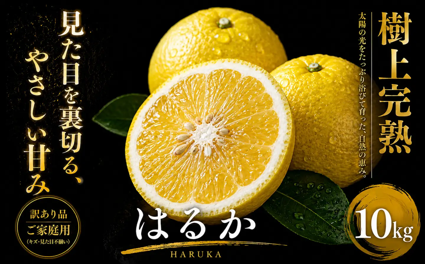 ＜上品な甘さ 愛媛県産はるか 合計約10kg＞『2027年2月上旬～3月中旬迄に順次出荷予定』訳あり まろやかな甘み ミカン 蜜柑 希少 ご家庭用 果汁 果物 くだもの フルーツ オレンジ 柑橘 人気柑橘 特産品 極尽道 愛媛県 西予市 【常温】OKS0012