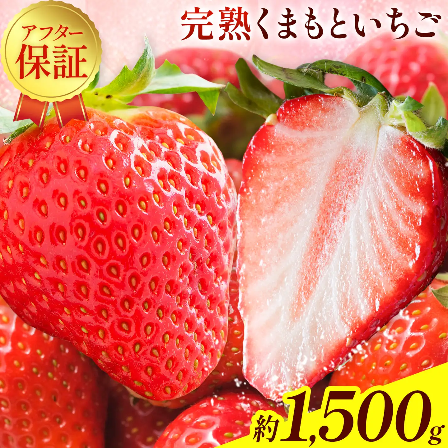 先行予約 熊本県産 いちご ゆうべに 約1500g（約250g×6パック）