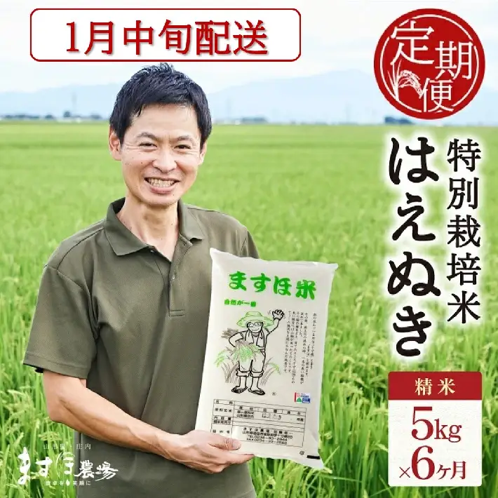 SF0409　1月中旬発送開始／【6回定期便】令和8年産【精米】特別栽培米『はえぬき』5kg×6回(計30kg) ［減農薬・減化学肥料］ MA