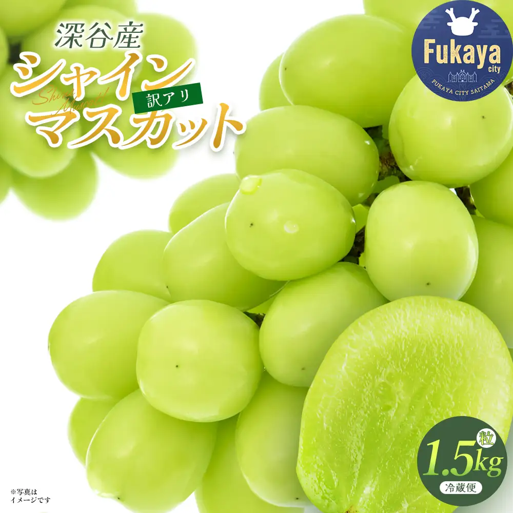 【訳あり】シャインマスカット　1.5kg（粒）　【11218-1102】