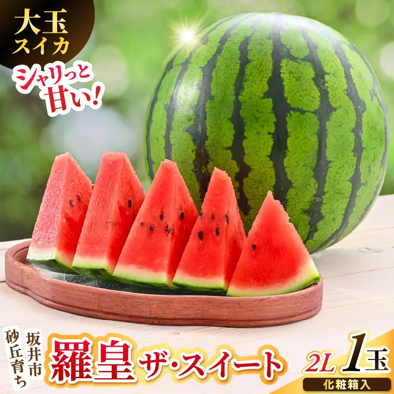 大玉スイカ (羅皇 ザ・スイート) 2L (7kg以上) 1玉 化粧箱入り 2027年7月中旬以降順次発送 すいか フルーツ [A-19112]
