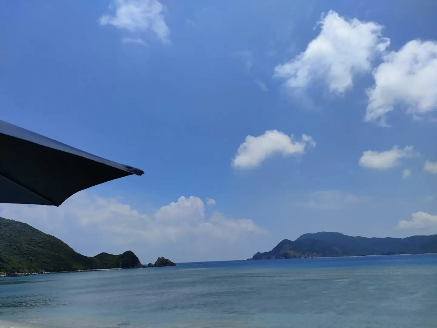 海洋散骨