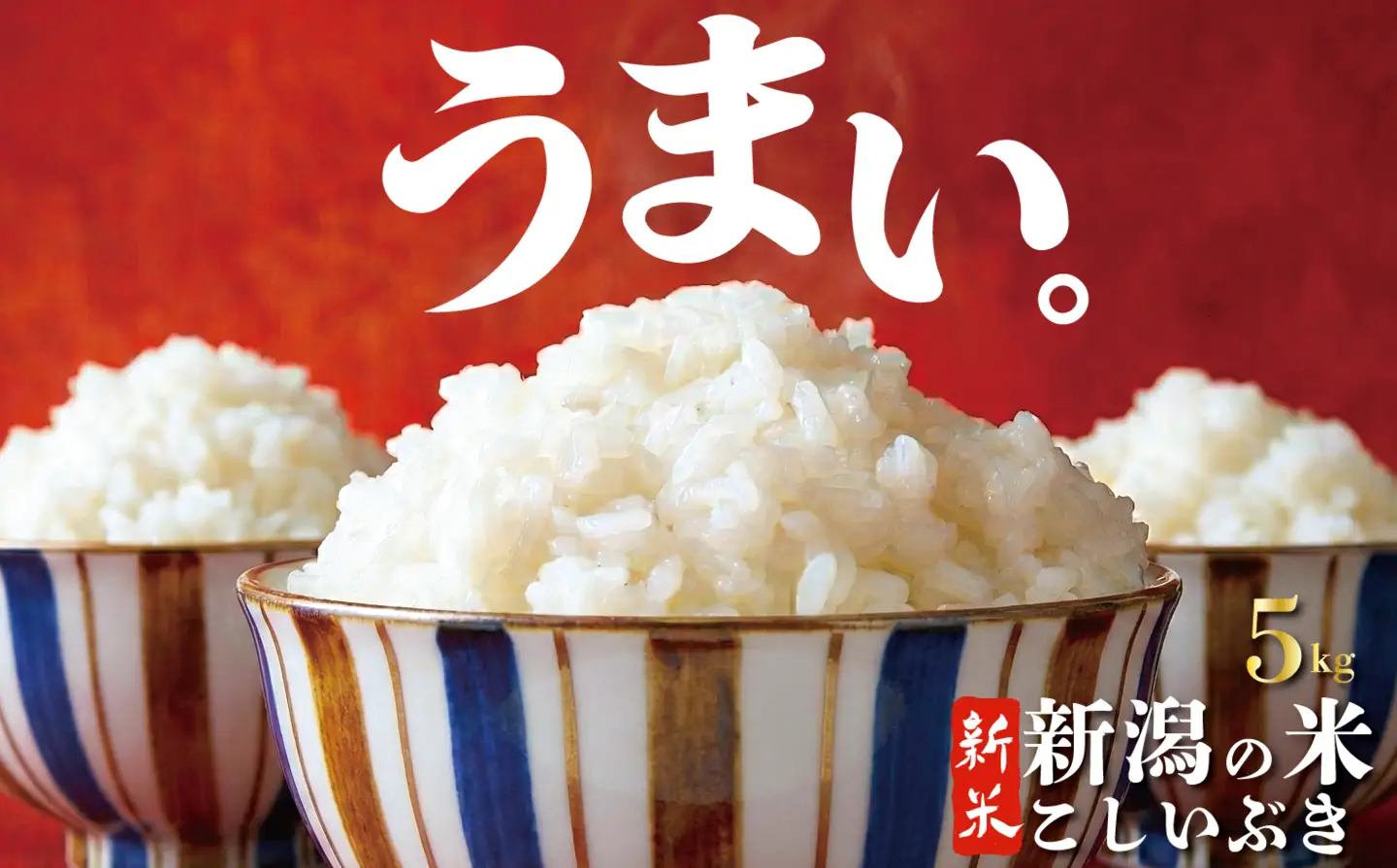 令和8年産 こしいぶき 5kg ご飯 備蓄 コメ お米 米 こめ しんまい 新潟産 新潟米 新潟県 新潟 新発田 新発田市 国産 新発田市産 斗伸 toushin061_02