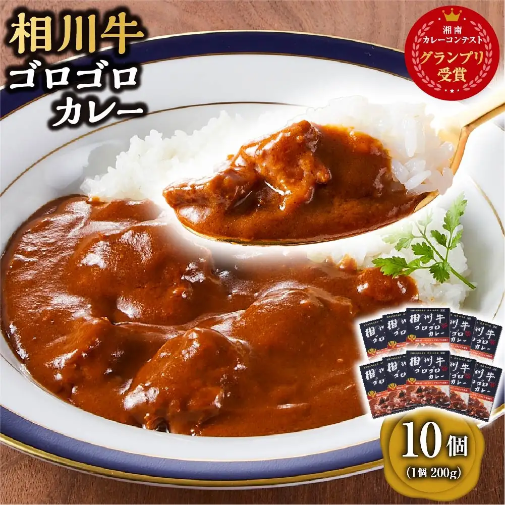 【湘南カレーコンテストグランプリ受賞】相州牛ゴロゴロカレー
