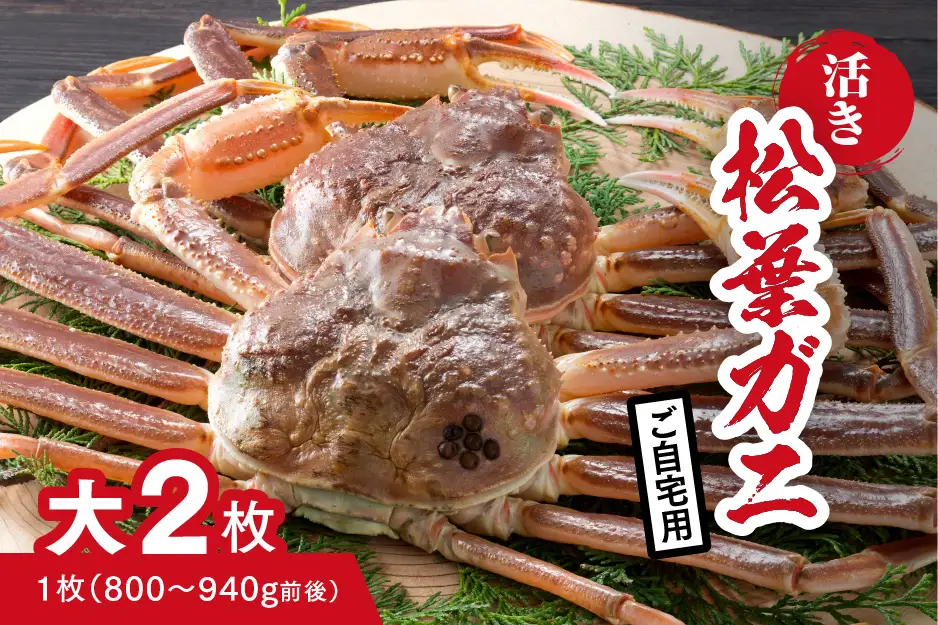 【活き】ご自宅用 松葉ガニ 大 2枚 (1枚800～940g前後) カニ 蟹 松葉ガニ 松葉がに かに 鳥取 高間商店 日野町