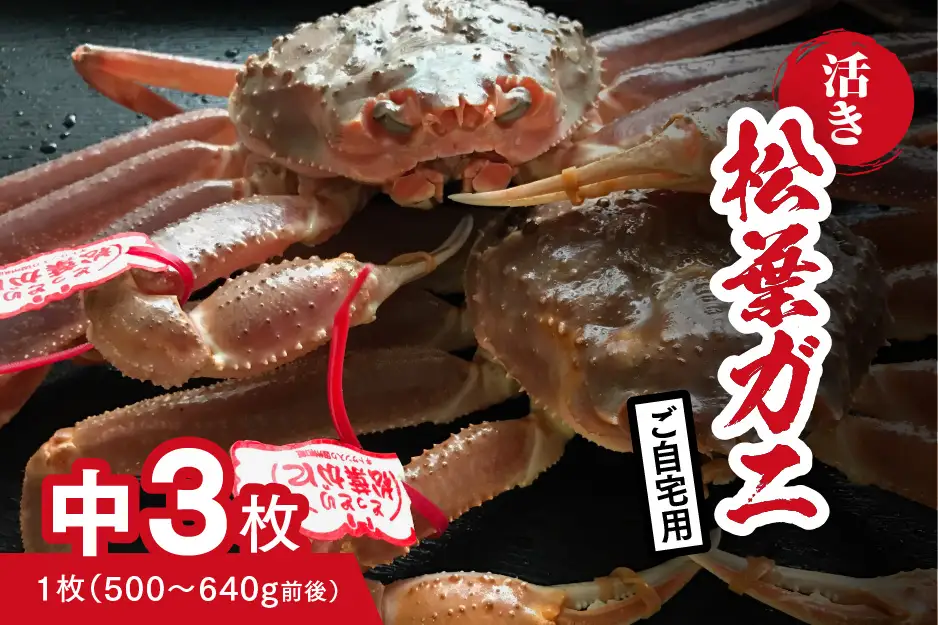 【活き】ご自宅用 松葉ガニ 中 3枚 (1枚500～640g前後) カニ 蟹 松葉ガニ 松葉がに かに 鳥取 高間商店 日野町