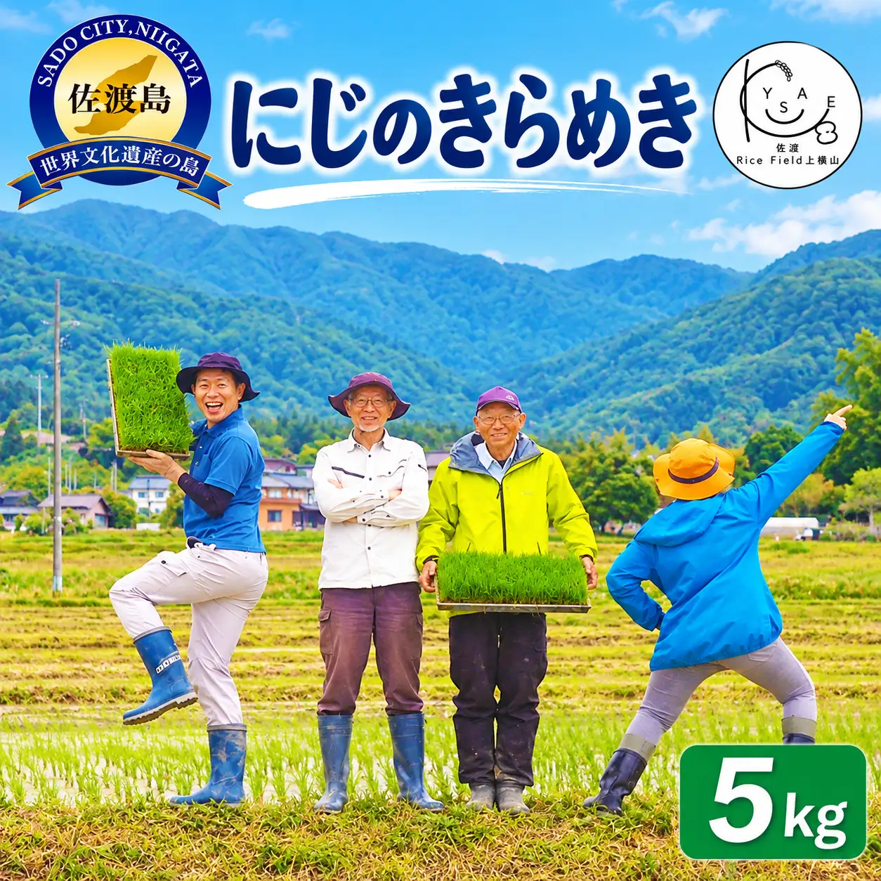 【令和8年産】佐渡上横山産にじのきらめき 精米5kg 金北山の水で育てた