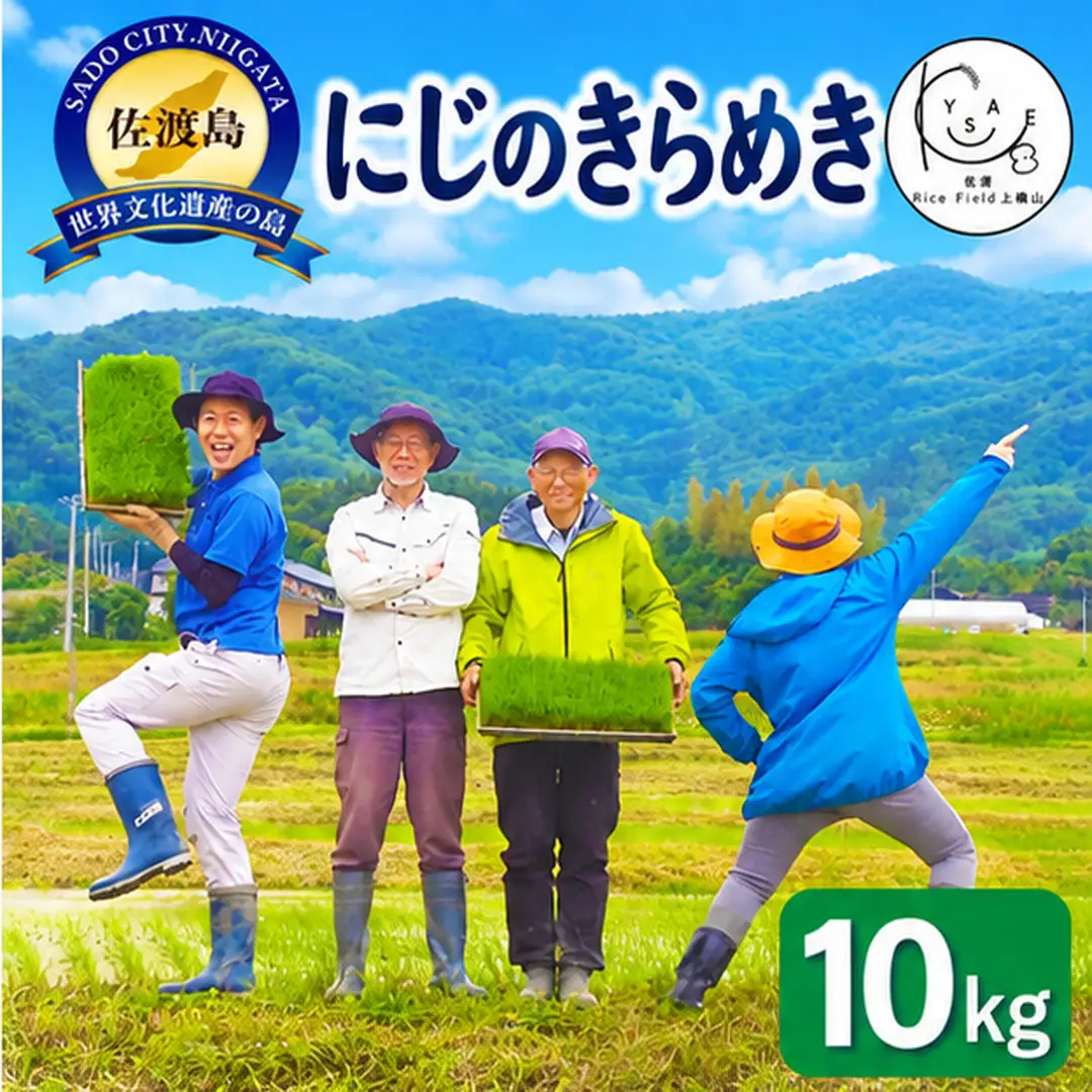 【令和8年産】佐渡上横山産にじのきらめき 精米10kg 金北山の水で育てた