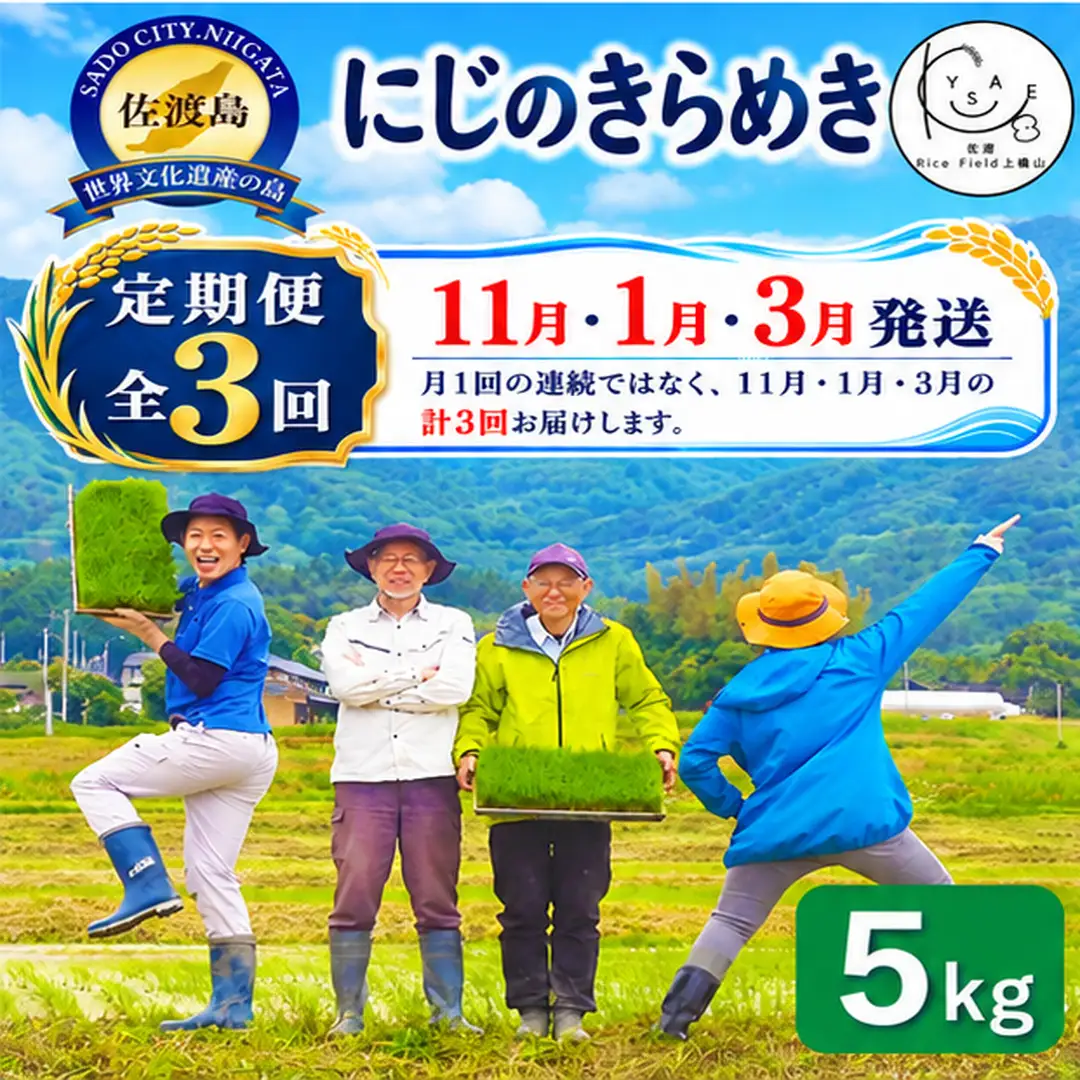 【定期便 3回】令和8年産 佐渡上横山産にじのきらめき 精米5kg 金北山の水で育てた