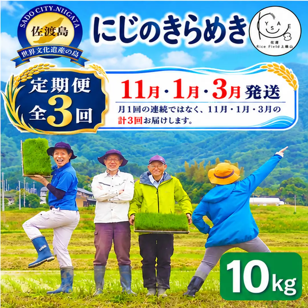 【定期便 3回】令和8年産 佐渡上横山産にじのきらめき 精米10kg 金北山の水で育てた
