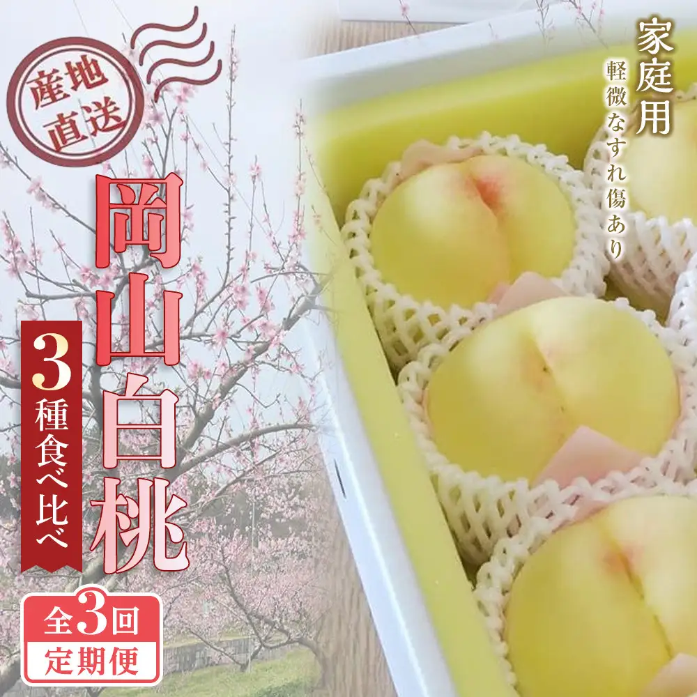 【全3回定期便】2027年 ご家庭用　清水白桃　岡山白桃 食べ比べ定期便　もも モモ 岡山県 国産 フルーツ 果物