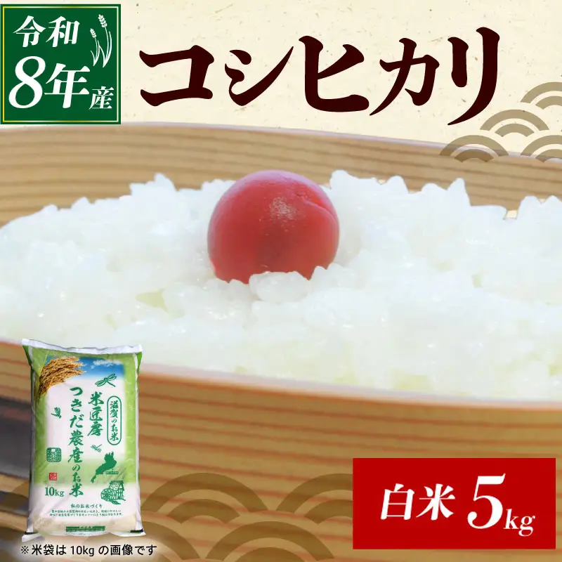 令和8年産 新米 コシヒカリ 5kg 精米 白米 滋賀 彦根