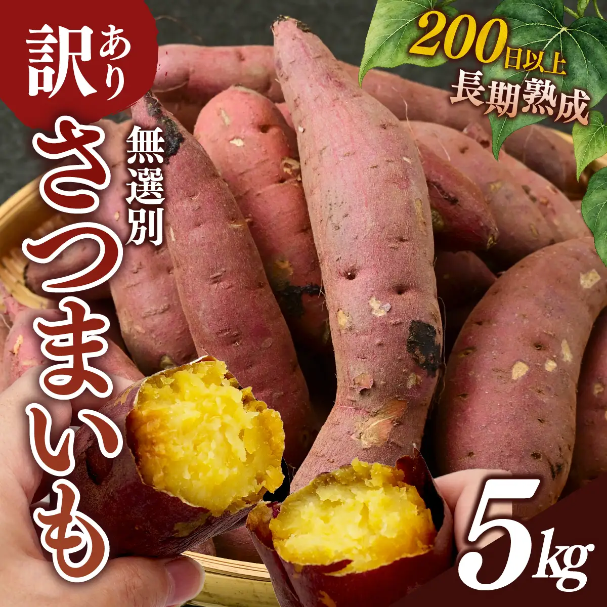 紅はるか【訳あり】長期熟成のさつまいも 5kg 扇屋商店｜紅はるか 国産 サツマイモ
