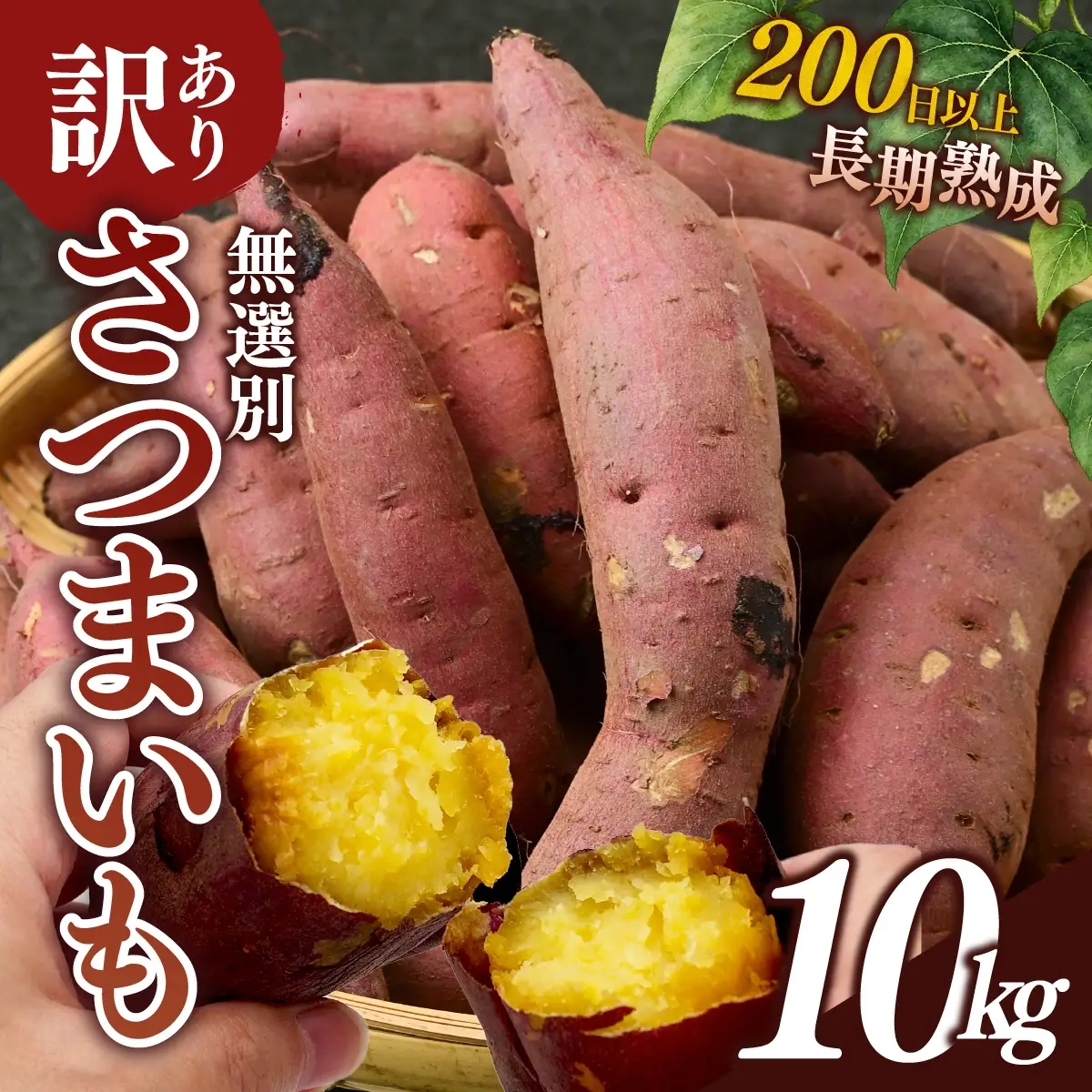紅はるか【訳あり】長期熟成のさつまいも 10kg 扇屋商店｜紅はるか 国産 サツマイモ