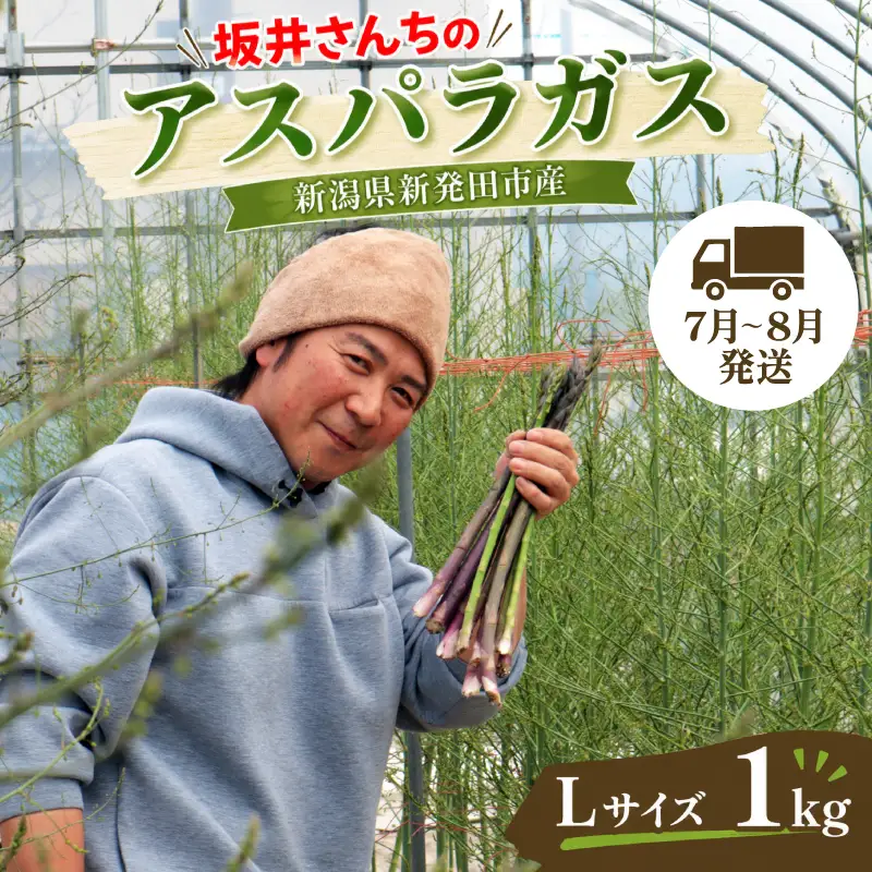 令和9年夏 アスパラガス Lサイズ 1kg 先行予約 アスパラ アスパラ アスパラ 新潟 新発田 坂井ファームフーズ sakai001